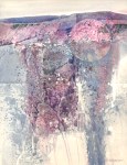 Palisade3